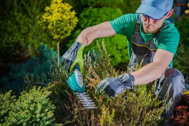 landscaping services De Graff
